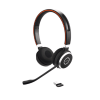 Jabra Evolve 65 - Binaural